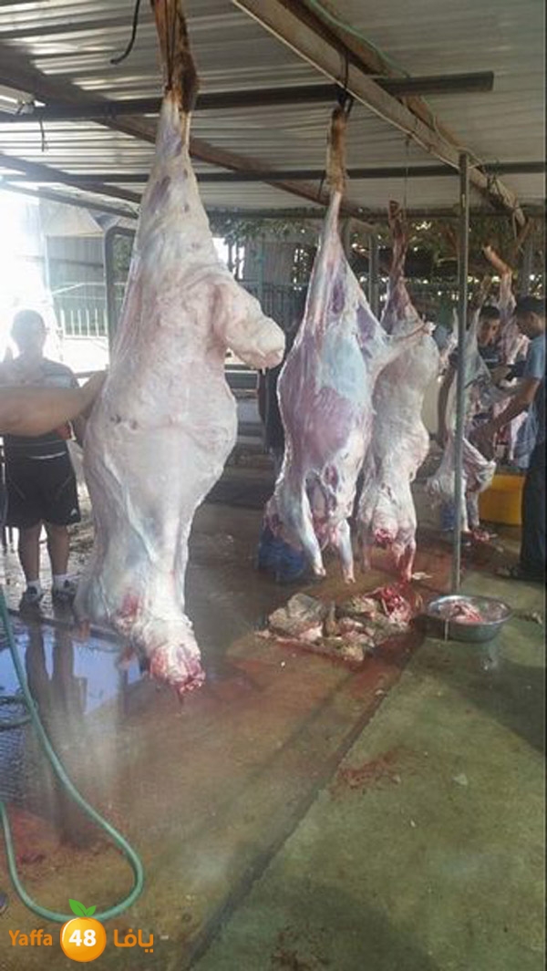 dabe7 ludj31 (73).jpg